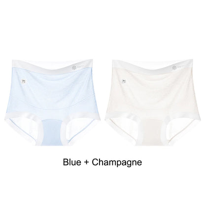Set 2 Slip Premaman a Vita Alta Elasticizzati – Intimo Maternità per Gravidanza e Post Parto
